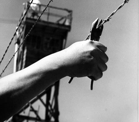 barbed wire hand_sm