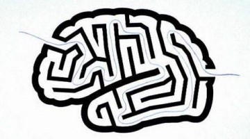 -brain-labyrinth-