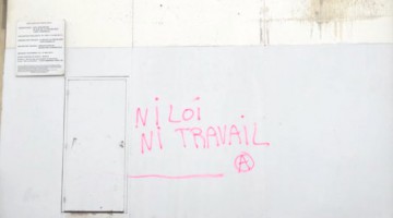 niloi-544x408